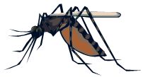 Malaria Prevention: Which Drugs Are Safest?