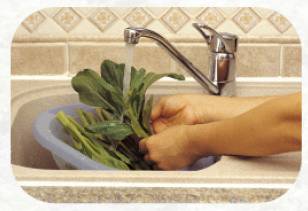 veggiewash