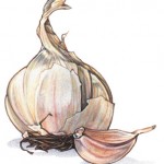 Can Garlic Help Fight Off A Cold?