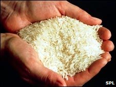 White Rice May Cause Diabetes