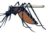 Traveling? Don't Forget Malaria Pills
