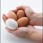 Are Your Store's Eggs Refrigerated?
