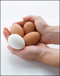 Eggs salmonella