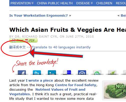 google translate