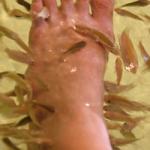 Survive Winter At Local Hot Springs -- Plus Flesh-Eating Fish