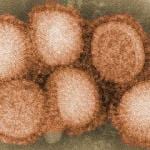 H7N9: Tips on Avoiding Infection