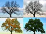 To Every Thing, There Is A Season…