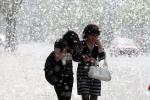 Springtime: Time For Allergies