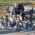 H7N9 Arrives in Beijing, Advice Is The Same